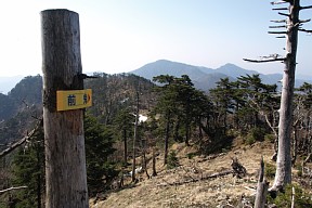 稜線の道