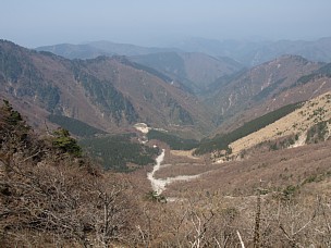 カラハツソウ谷