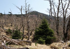 孔雀岳