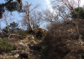 山頂直下