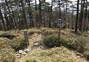 旭への分岐