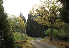 車道