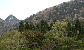 大日岳か釈迦ヶ岳か