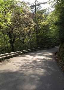 東向き