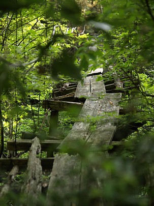 朽ちた吊橋