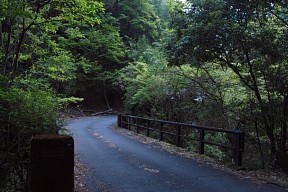 橋