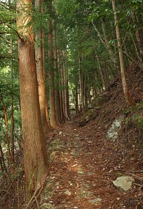 登山道