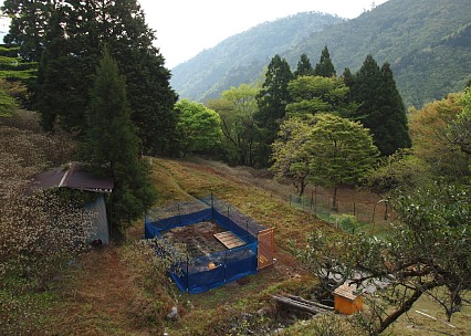 前鬼の朝