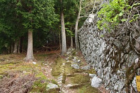 登山道