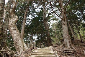 木階段のレール