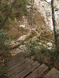 沢に下りる