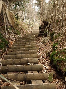 沢を離れる
