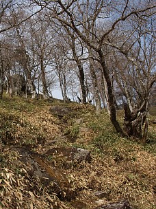 大峰稜線