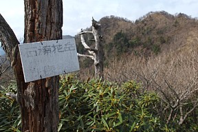 石楠花岳山頂