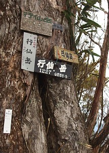 行仙岳山頂