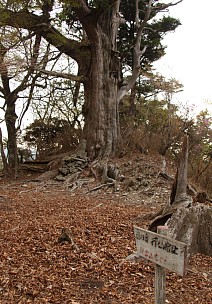 行者宿址