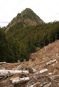 鋭鋒