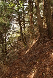 地蔵岳斜面