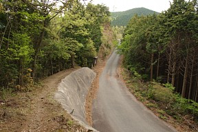 京ノ谷大谷林道