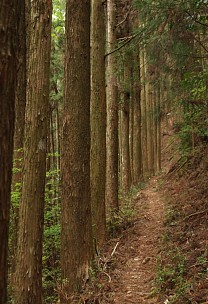 巻き道