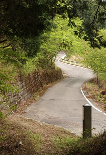 車道ふたたび