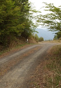 林道支線