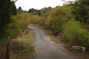 車道