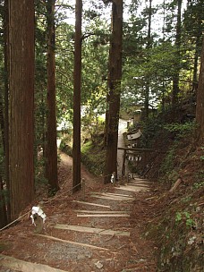 玉置神社へ