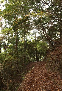 玉置山下山路