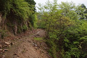 山腹を巻く道