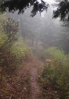 雲の中を行く