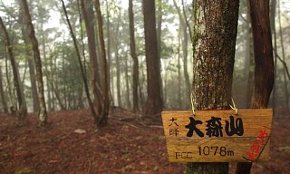 大森山