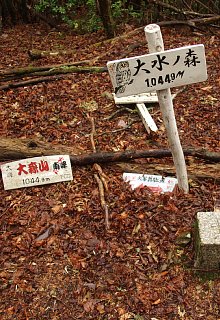 大水ノ森