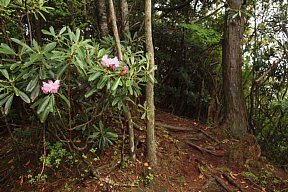 尾根を辿る
