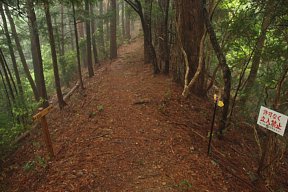 稜線道