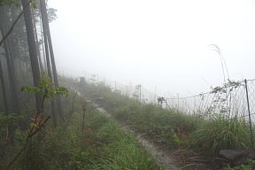 草原