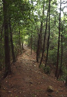 吹越山の道