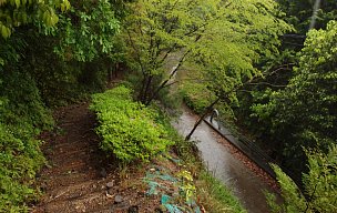 山道も尽きる