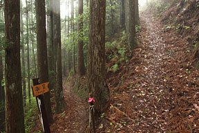 下山路