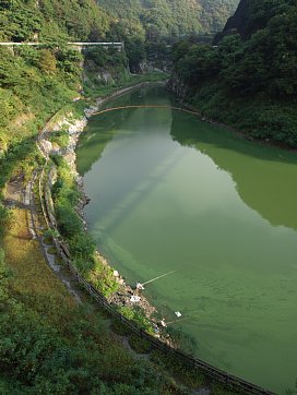 湖の釣り人