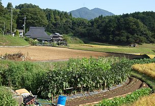 能勢の秋景色