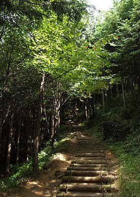 行者山登山道