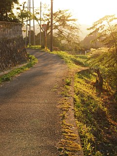 野間大原