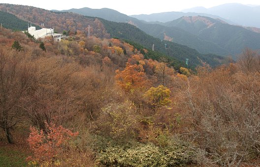 ちはや園地