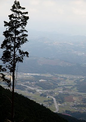 和歌山