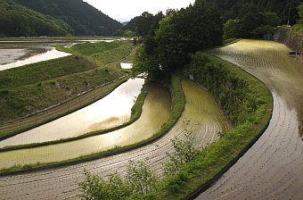 高山棚田