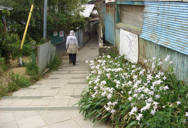 安井茶屋