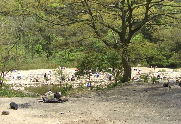 市ヶ原の川原