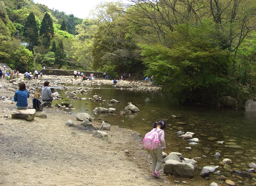 市ヶ原の川原