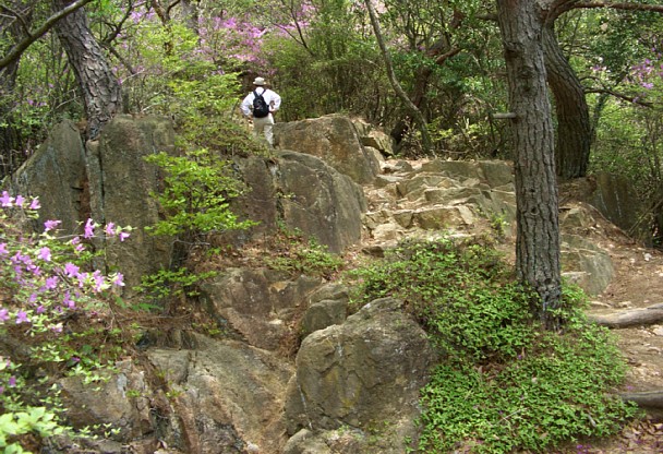 岩場